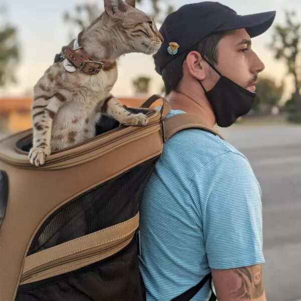 Space Cat & Dog Backpack, Pet Carrier, Portable Bag - Image 3